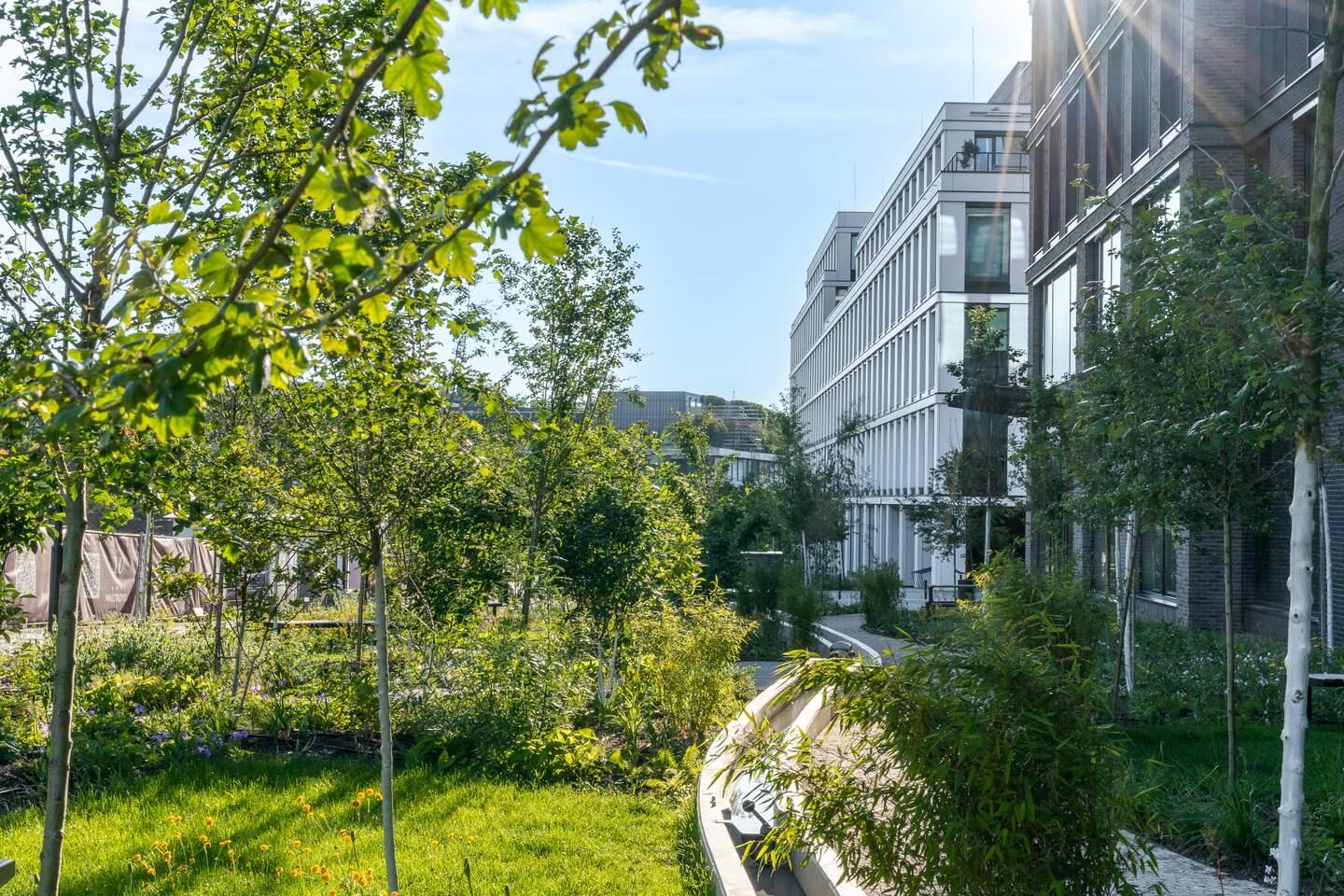 Green boulevard and children's playgrounds